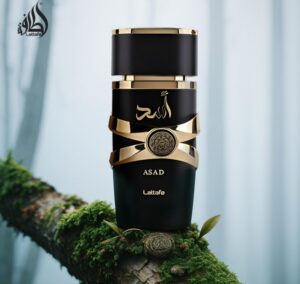 Lattafa Asad for Men | So Much Egypt