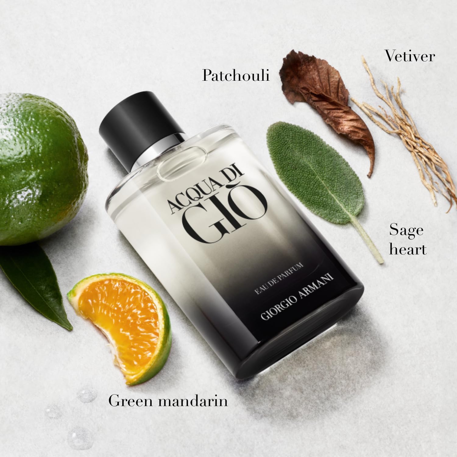 Giorgio Armani Acqua Di Gio Men Eau de Parfum 100Ml