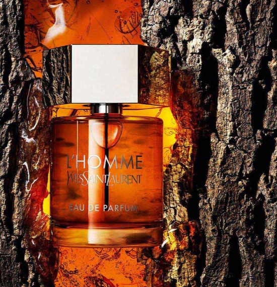 Yves Saint Laurent L'Homme Eau de Parfum 100 ml