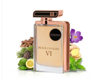 Le Bonheur Men's Black Cavalier VI EDP Spray 3.4 oz 100 ml