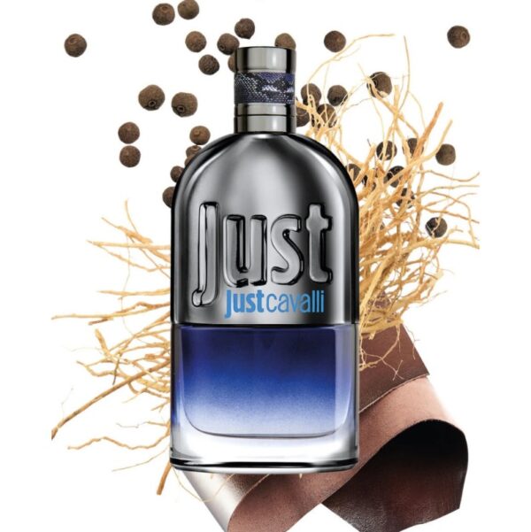 Roberto Cavalli Just Cavalli Man / EDT Spray 3.0 oz 90 ml