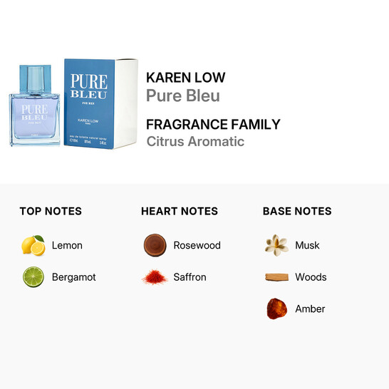 Karen Low Men's Pure Bleu EDT Spray 3.4 oz 100 ml