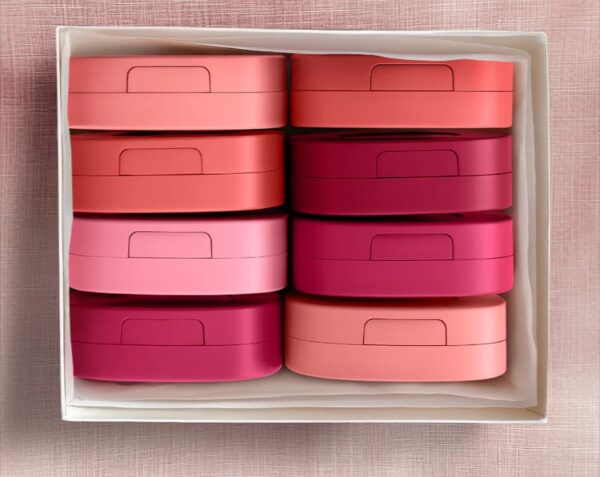 bourjois BLUSH MACARON MELT LIP & CHEEK FLUSH